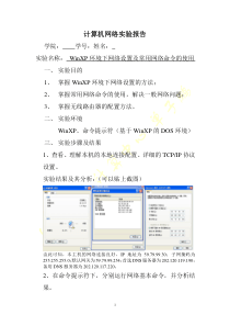 计算机网络命令实验报告