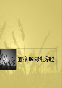 第四章_UGIS软件工程