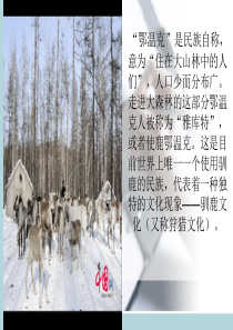 鄂温克族驯鹿文化.ppt