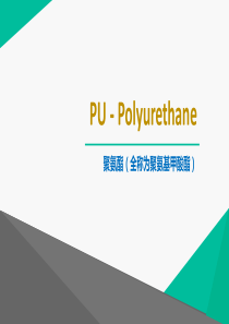 聚氨酯Polyurethane(PU)培训.