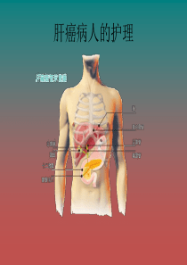 肝癌病人的护理ppt