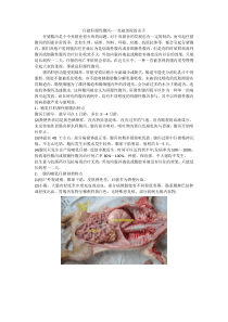 肝源性腹泻--一直被忽视的杀手