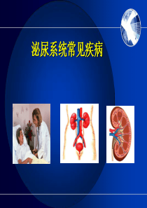 肾内科相关基础知识