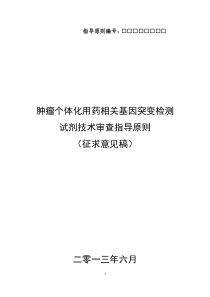 肿瘤个体化用药相关基因突变检测试剂技术审查指导原则