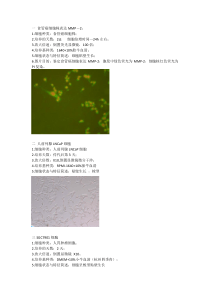 肿瘤细胞培养图片汇总