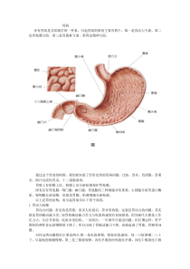 胃病docx。