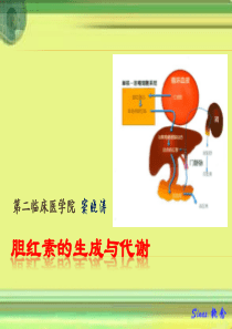 胆红素的生成代谢(供office07+版)