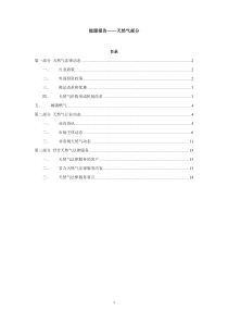 能源业务年度报告_天然气子市场(20120315)_SHA