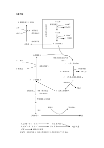 能量代谢图