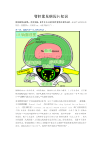 脊柱常见病阅片知识