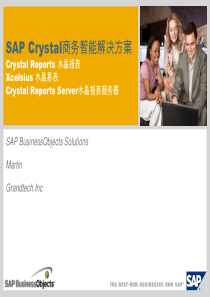 Crystal商务智能解决方案