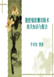 腹腔镜胆囊切除术贾莎.