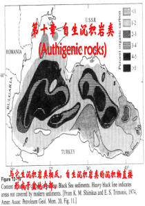 自生沉积岩类.