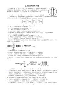 自由组合题2