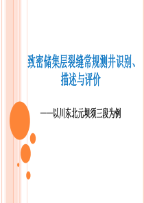 致密储集层裂缝常规测井识别描述与评价