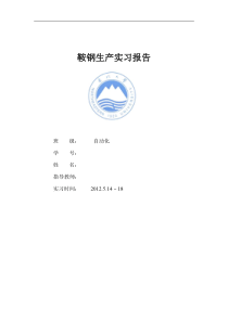 自动化鞍钢实习报告
