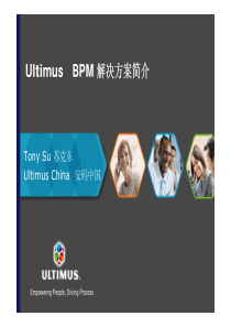 Ultimus-BPM方案简介