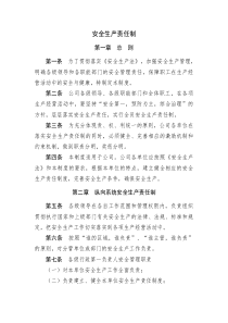 纵向系统安全生产责任制