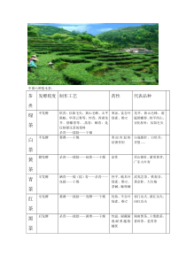 茶的分类及品种