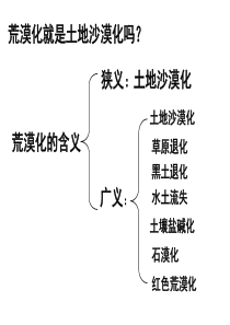 荒漠化危害和治理.