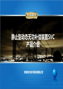 荣信SVC技术交流.