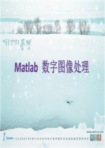 Matlab图像处理教程及方法