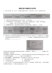 细胞代谢与细胞的生命历程