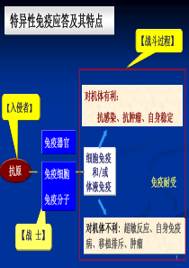 细胞免疫应答2014-9