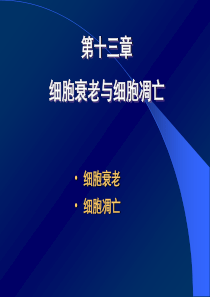 细胞生物学--第十三章细胞的衰老与凋亡