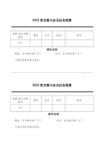 支部大会无记名投票