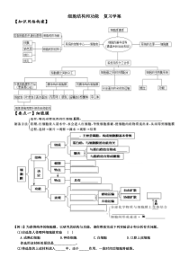 细胞结构与功能复习学