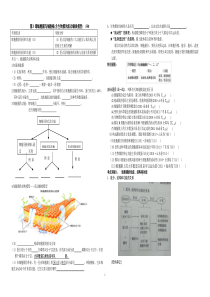 细胞膜与细胞核