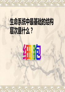 细胞膜细胞的边界