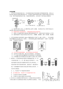 绍兴一中(初赛题)