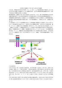 经典信号通路之PI3K-AKT-mTOR信号通路