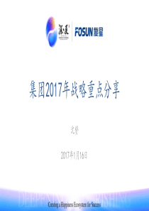 2017年复星集团战略重点