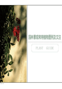 (精品)园林景观常用植物图例及文注（PPT89页)