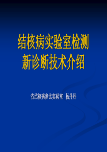 结核病实验室检测新诊断技术2011416