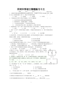 许河中学初三物理练习十三