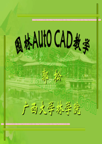 10园林CAD-尺寸标注