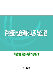 许继配电自动化认识与实践（PPT52页)