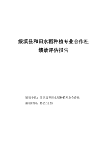 绩效评估报告绥滨县和田水稻种植专业合作社报告111