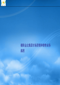 XXXX年朝阳金达集团市场营销和销售业务流程