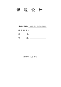 网络协议分析实验报告