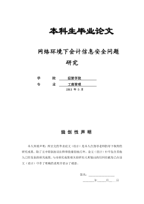 网络环境下会计信息安全问题研究