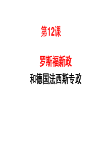 罗斯福新政和德国法西斯专政.