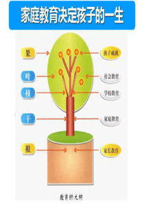 孩子成长规律和关键期教育