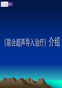 联合超声导入治疗介绍.