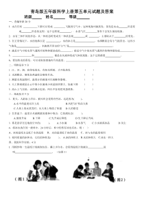 青岛版五年级科学上册第五单元试题