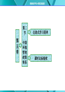 第五章第二节中国环境管理政策体系.